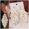 Exaggerated Drop Earring Luxury Ornaments Party Jewelry Earrings New Tassel Earrings  Gift