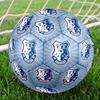 Farul FC Soccer Ball, Colorful, Suitable for All Ages, Machine-stitched, PVC Material, Competition Grade, Durable and High Bounce