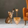 Gatos – Brinquedos para gatos