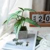Artificial Turtle Back & Caladium Leaf Plants - Small Potted Decorations for Office, Living Room, or Coffee Table