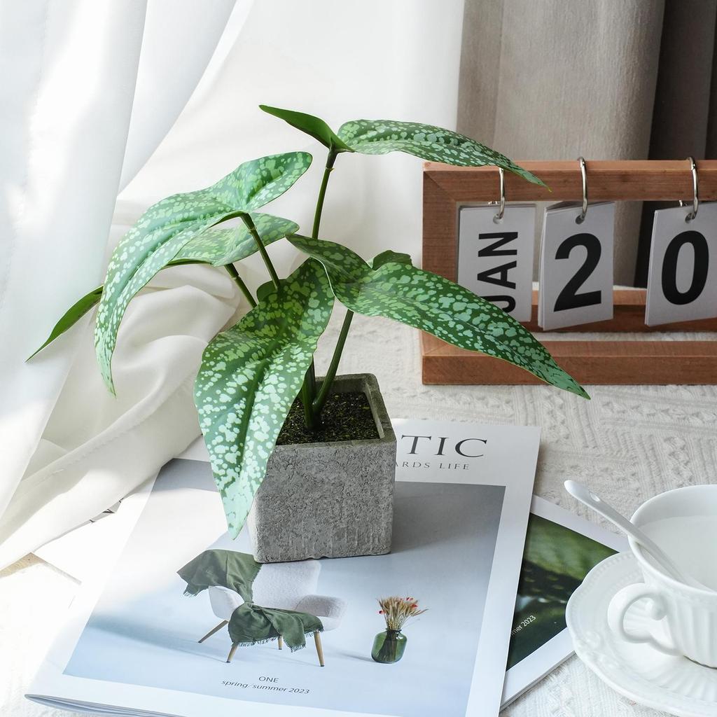 Artificial Turtle Back & Caladium Leaf Plants - Small Potted Decorations for Office, Living Room, or Coffee Table