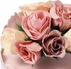 Francfranc Ca Dominion Bass Petal Pink Bouquet,