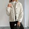 Women's Fashion Solid Color Collar Button Long Sleeve Plush Warm Women's Jacket Coat