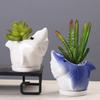 Gardening Succulent Flower Pot Ceramic, Creative Indoor Tabletop Cartoon Dolphin Animal Flower Pot