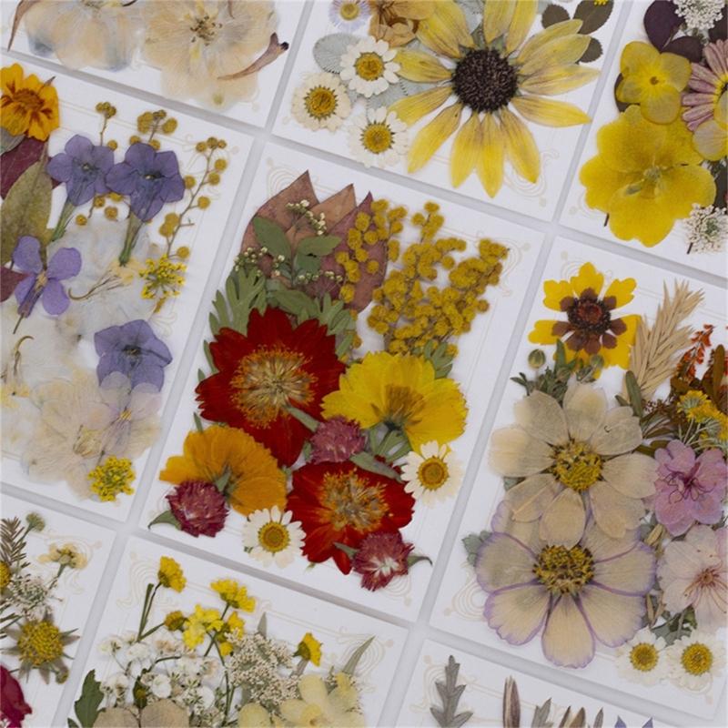 Natural Pressed Dried Flower For Epoxy Resin Dry Flowers and Leaves Set for Soap Candle Jewelry Making Scrapbooking