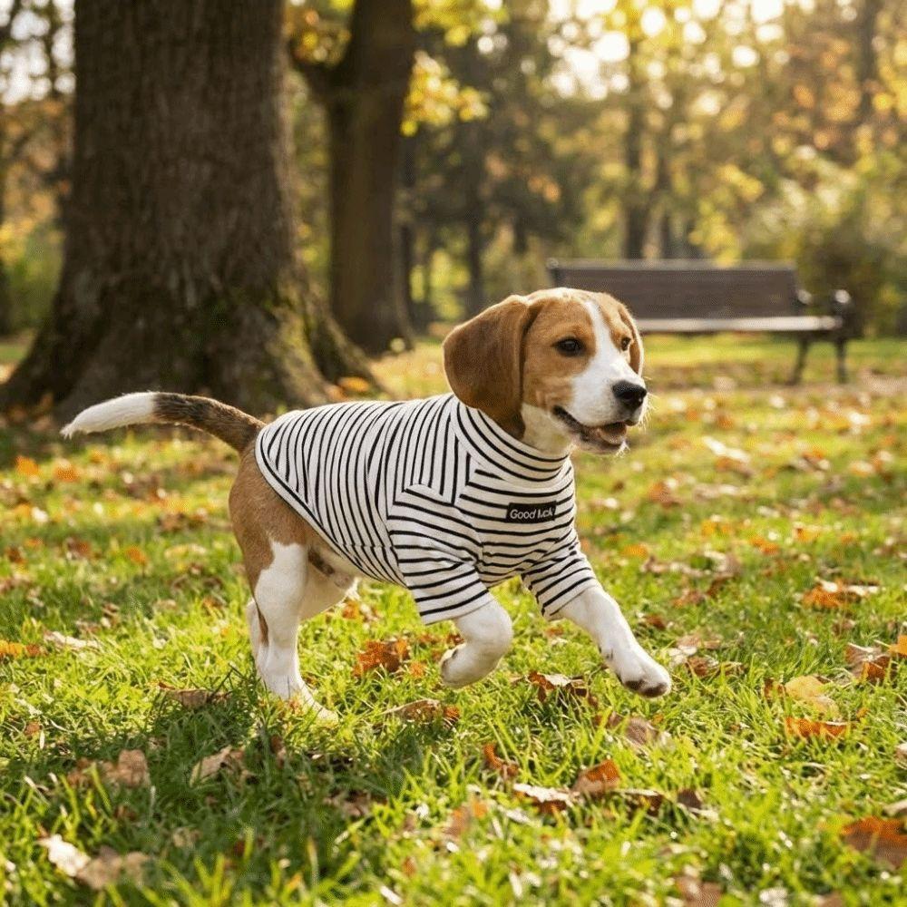 High Collar Dog Base Coat Soft Pet Warm Sweater Pet Apparel Striped Sweatshirt  Indoor Use