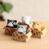 Miniatures Statue Crafts PVC Ornament Kitten Kitty Model Car Figurine Poor Box Cat Small Statue