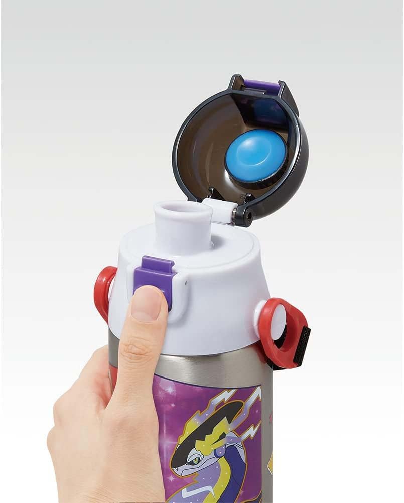 Skater Stainless Steel Water Direct Pokemon for Cute Sports Water Kids' Bottle, Drinking, 580ml, Design, 23N, Child-Friendly, Lightweight, Insulated,