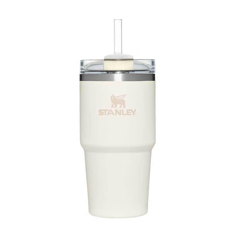 STANLEY Insulated Straw Tumbler