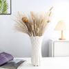 Große Nordic Weiße Keramikvase für Hydroponik & Trockenblumen - Moderne Wohnkultur