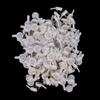 200 Invisible Traceless Wall Mount Mount Photo Picture hřebík