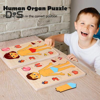 Vücut Parçaları Bulmaca Eşleştirme Oyunu Eğitici İnsan Vücudu Yapısı Anatomisi Bulmaca Tahtası Çocuklar Küçük Çocuklar Ahşap Vücut Bulmacası Öğrenme STEM Oyuncağı