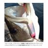COREMAN Metall Jig Zettai On Hook Pink Crush Holo CZ-30 #015