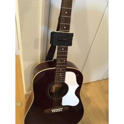 fieldlabo Guitar/Bass String Fret Cleaner for String Instrument Care (1 Pack)