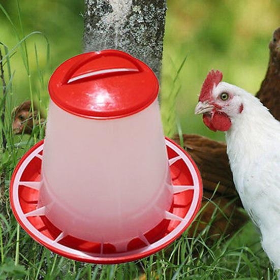 Plastikowy kurczak Przepiórka Drób Kurczak Poidło Kura Podajnik pokarmu Wiadro na wodę 1,5 l
