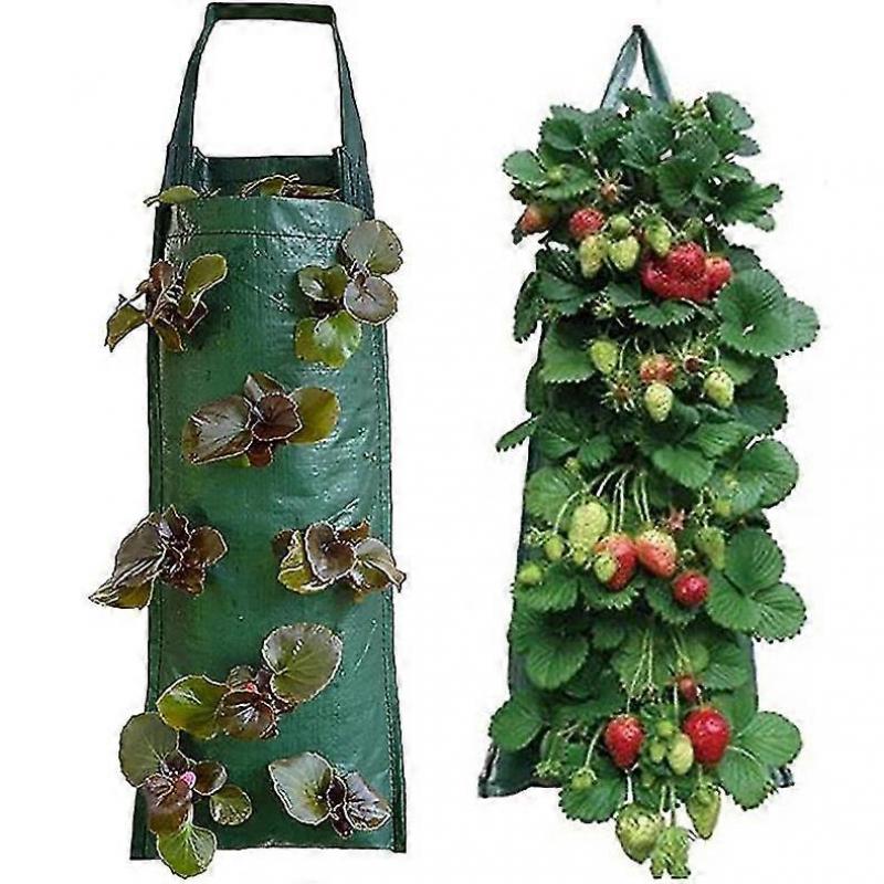 Hanging Strawberry Planter Growbags(2 Pcs, Green)