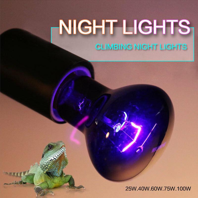 lizard night light