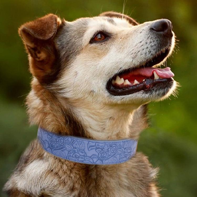 Leather Collar Wide Dog Collars Comfortable Padded Collar for Medium Small Dogs