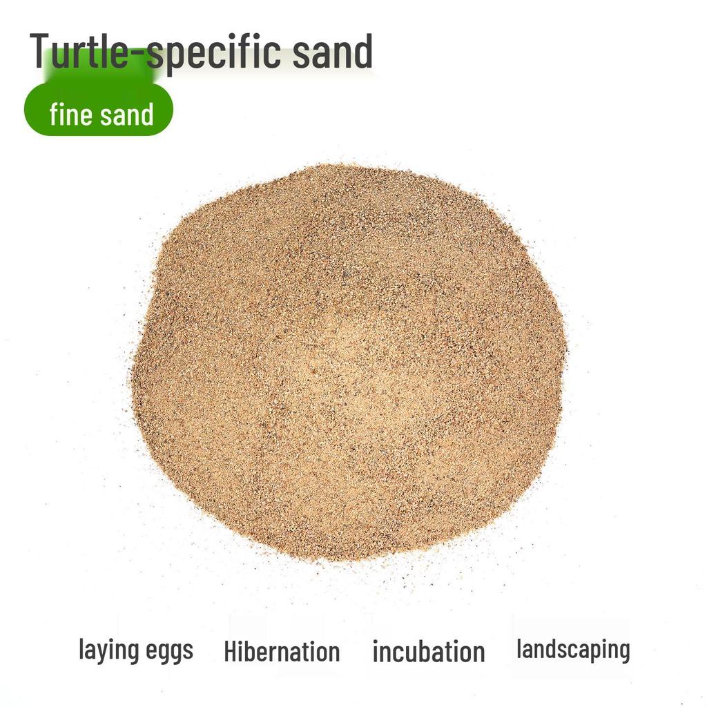 Turtle Egg-Laying Pond & Incubation Box with Basking Platform and Sand Pool