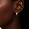 Niche High-End Zirconia Inlaid Metal Ear Cuffs - Vintage European & American Light Luxury Style Earrings