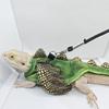 Chameleons Harness Outdoor Walking Harness with Leash Squirrels Lizards Costume