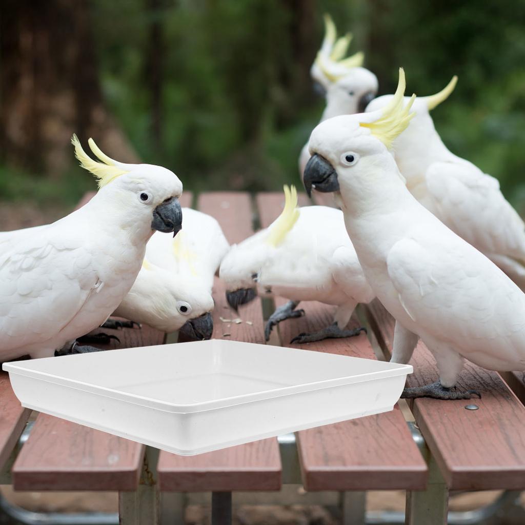 2 szt. Kwadratowe Plastikowe Karmniki dla Ptaków Miski na Wodę Zewnętrzne Kąpieliska dla Kolibrów Trwałe Łatwe do Czyszczenia Pojemniki Zapasowe