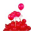 Frosted Round Balloons - 5", 10", 12" Thickened Latex for Birthday & Wedding Decorations