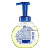 Safeguard Antibacterial Foaming Hand Soap