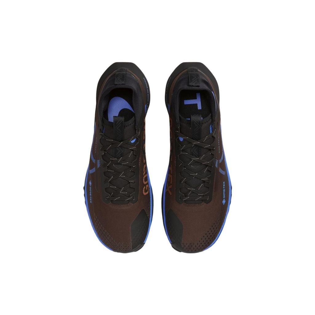 Nike React Pegasus Trail 4 GORE-TEX Velvetově hnědá modrá Pánské tenisky Černá Zlatavě mechová Středně modrá FB2193-200