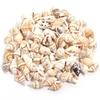 1 Box Tiny Ocean Spiral Sea Shells Aquarium Landscaping Craft Photography Prop Decoration Accessory
