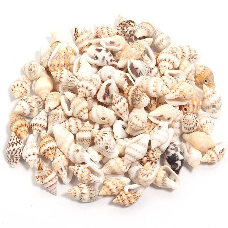 1 Box Tiny Ocean Spiral Sea Shells Aquarium Landscaping Craft Photography Prop Decoration Accessory