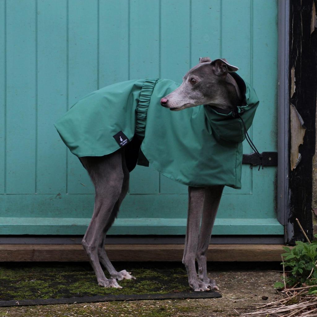 Waterproof Windproof Dog Rain Jacket, Breathable Full-Body Coverage Dry Suit, Pet Rain Coat Poncho For Whippet Greyhound
