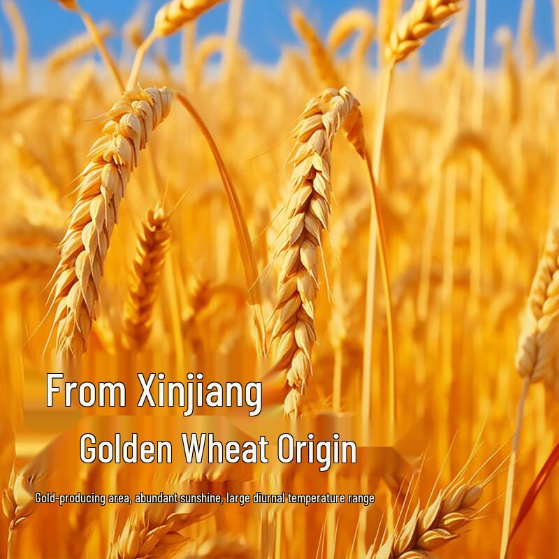 Tianshan Xinjiang Refined All-Purpose Flour