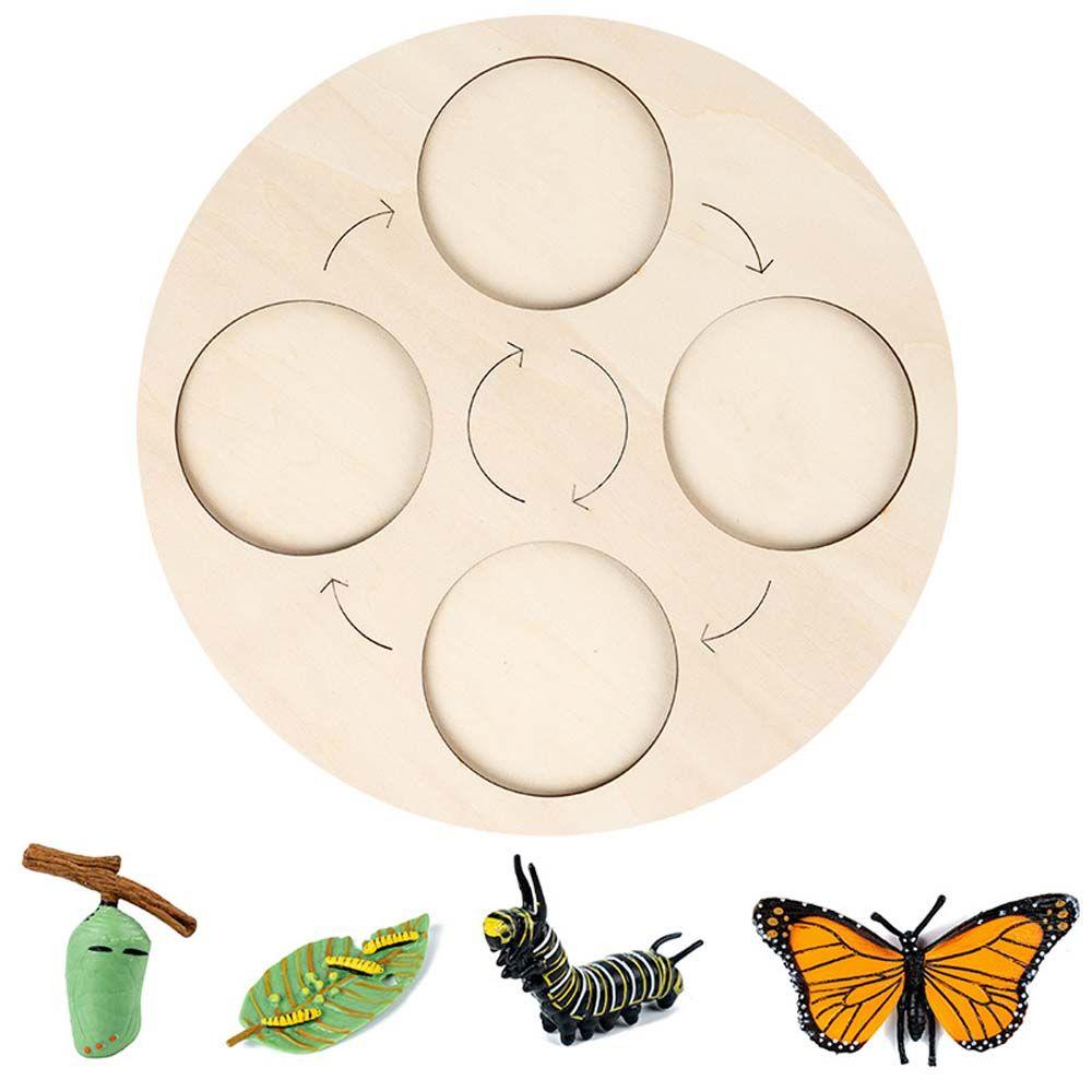 

Aids Kids Cognitive Toy Children Cognitive Game Animal Life Cycle Board Kids Growth Cycle Toy butterfly