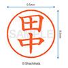 Shachihata Name Stamp XL-9 9.5mm Impression Tanaka