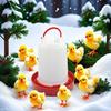 3 Gallon Heated Chicken Waterer 110V 100W Automatic Heated Poultry Waterer Winter Poultry Fountain Heater for Chicken Coop Ducks Birds Pigeons