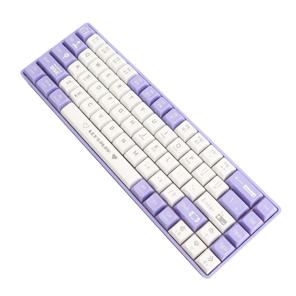 68 Keys Wired Mechanical Gaming Keyboard Hot Swappable Dynamic Backlighting Red Switch Mechanical Keyboard for Gaming