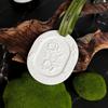 1 Aromatherapie Diffuser Steen Aromatherapie Gips Tabletten Binnen Langdurig Kledingkast Auto Aromatherapie Solide Aromatherapie Hanger