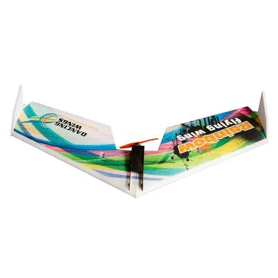 Dancing Wings Hobby E0511 Rainbow Flying Wing V2 RC Airplane 800mm Wingspan Delta Wing Tail-pusher