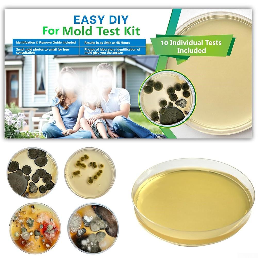 Reliable For Mold Detection In Homes Comprehensive DIY Kit Featuring 10 Tests