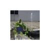 Pompe solaire fontaine sans brosse AIMOONSA 9V 2.5W – 200 l/h, jet jusqu'à 120 cm, 3 buses