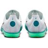 Nike ZoomX Dragonfly 2 White Electric Algae Unisex Sneakers Bright-Spruce Black FD8413-102