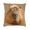 Chilling Capybara Cushion Cover Sofa Decoration Square Throw Pillow Cover 45x45cm
