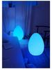 Nordic Egg-Shaped Table & Floor Lamp: Luxury Smart Lighting for Bedroom and Living Room