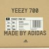 G54853 Adidas Yeezy Boost 700 V3 SAFFLOWER Geel Crème Wit Zeil Ivoor Beige