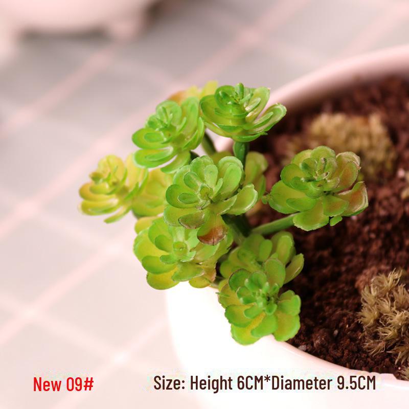 Realistic Fake Succulent Plants for Indoor & Outdoor Wall Decor