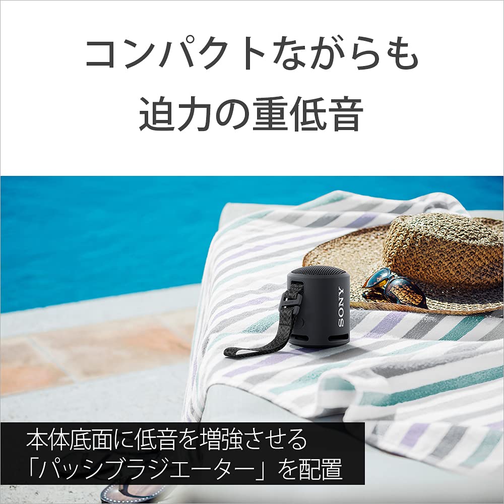 Sony Portable Speaker BC Black Waterproof and Dustproof Up To 16 Hours of Battery Life SRS-XB13 (2021 Model), IP6,