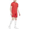 Nike Camisa Dri-Fit Dry Park VII Manga Curta Masculina Laranja-Vermelho BV6708-657