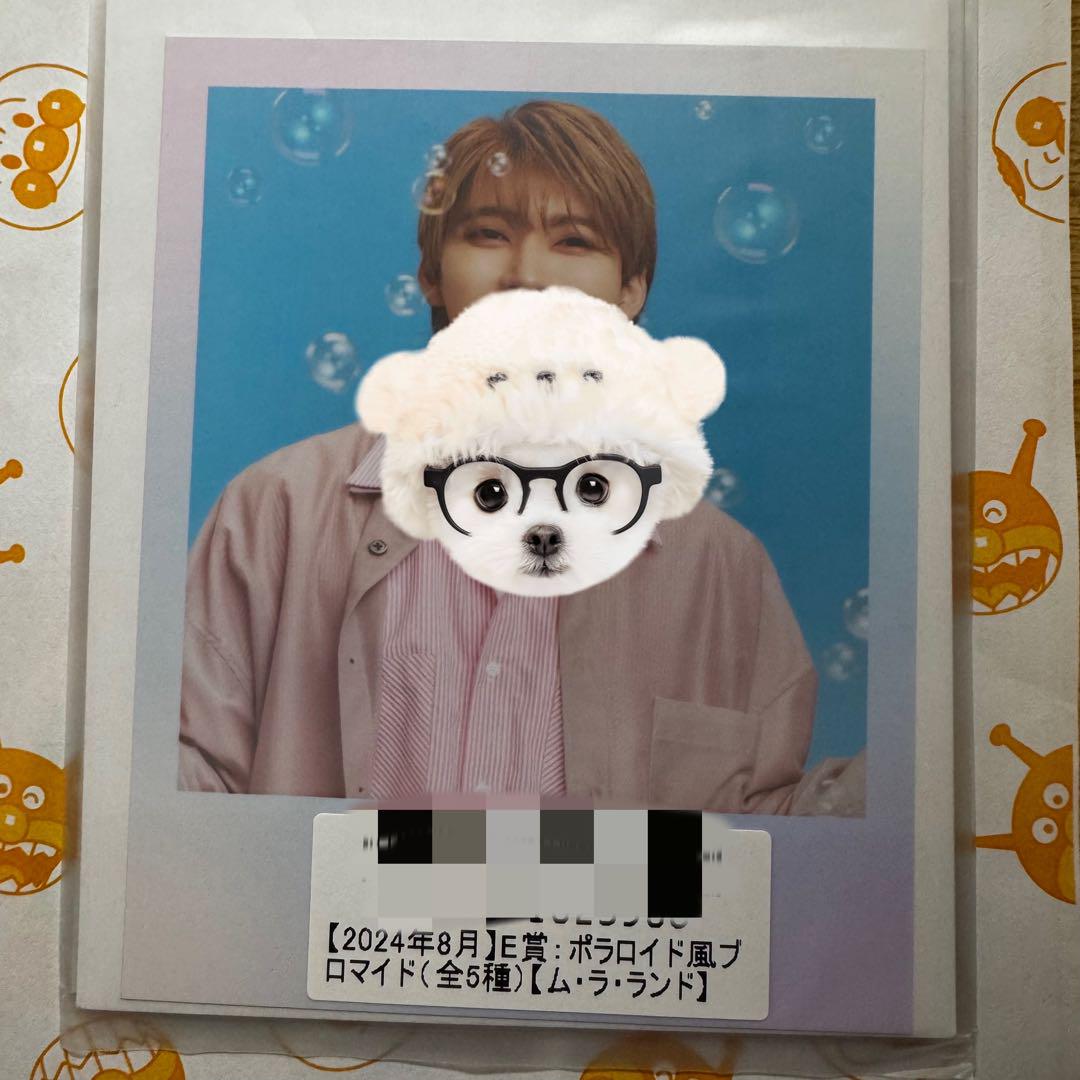 

[USED] Polaroid-style bromide Bullet Train Yuki Kirari