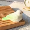Cartoon Pearl Bird Squeeze Toys Silicone Parrot Fidget Toy  Mini Ornaments